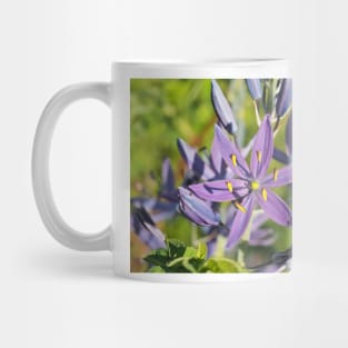 Beautiful violet common camas (Camassia quamash ssp. breviflora) flower Mug